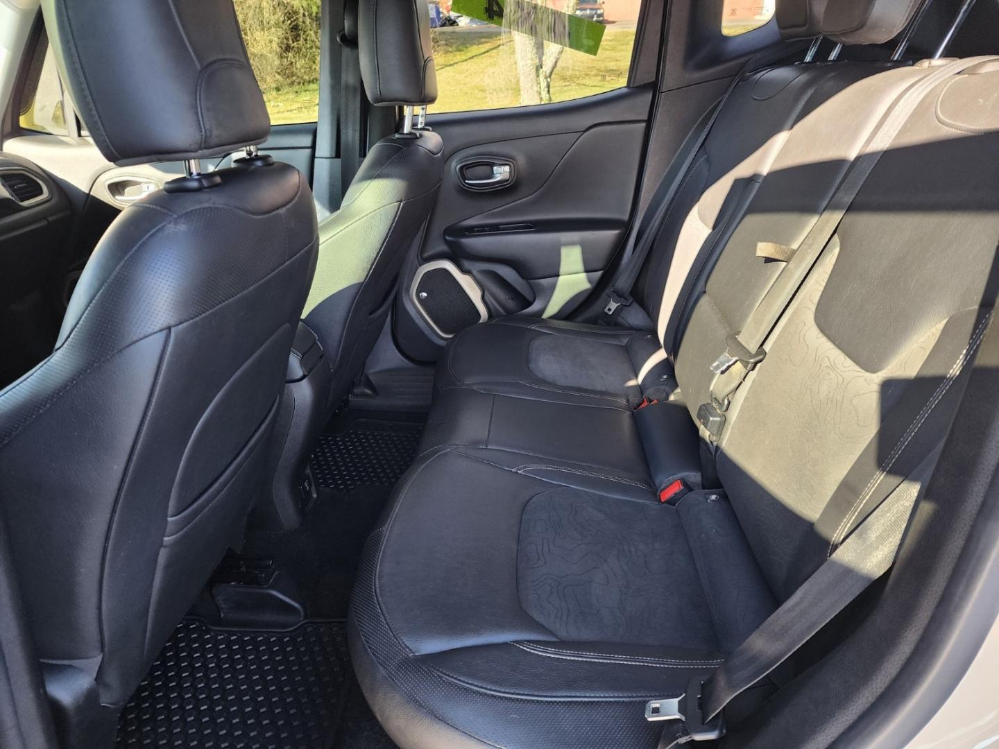 2017 Brown /Black Jeep Renegade Deserthawk (ZACCJBCB1HP) with an 2.4 4cyl. engine, Automatic transmission, located at 1221 Madison St., Shelbyville, TN, 37160, (931) 680-9439, 0.000000, 0.000000 - Photo#5